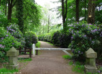 Rhodondendronlaan